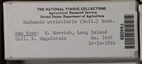 Image Associated With the Occurence